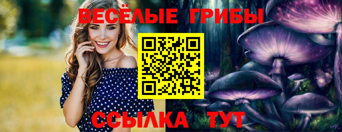 Ярославль  Галлюциногенные грибы ЛСД  Вход с VPN 
